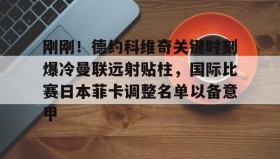 多米百家乐-刚刚！德约科维奇关键时刻爆冷曼联远射贴柱，国际比赛日本菲卡调整名单以备意甲的简单介绍